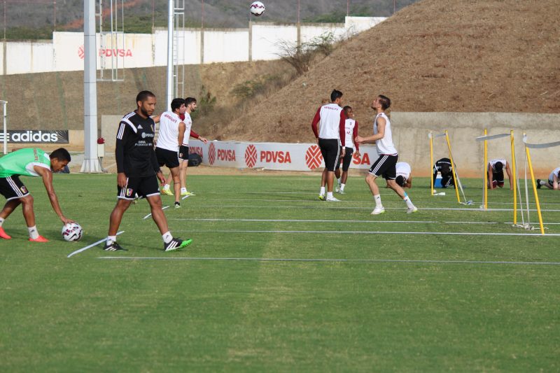 vinotinto2