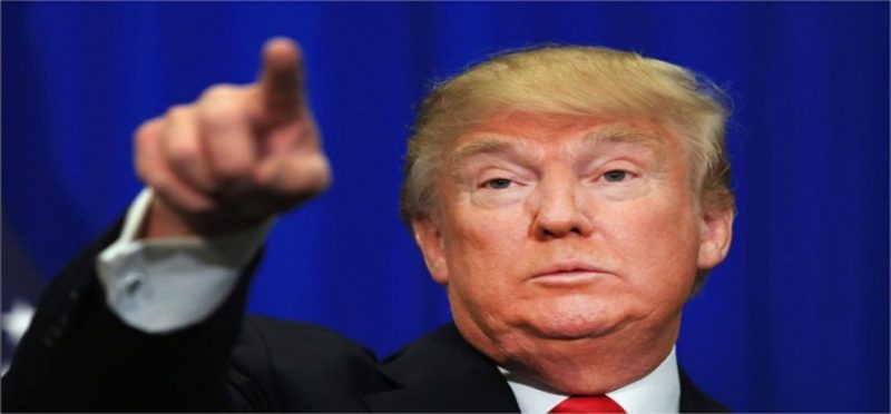 donald-990x460